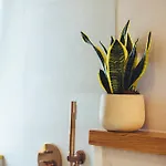 Casa Boga プエルト・デル・カルメン