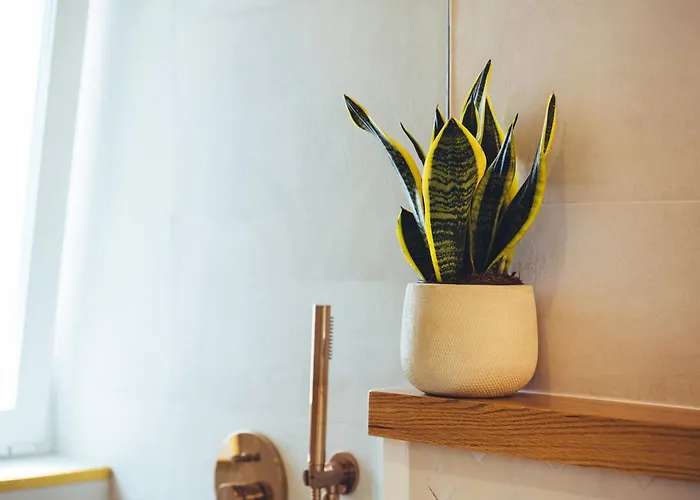 Casa Boga פוארטו דל כרמן