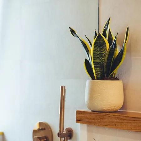 Casa Boga بويرتو ذيل كارمين